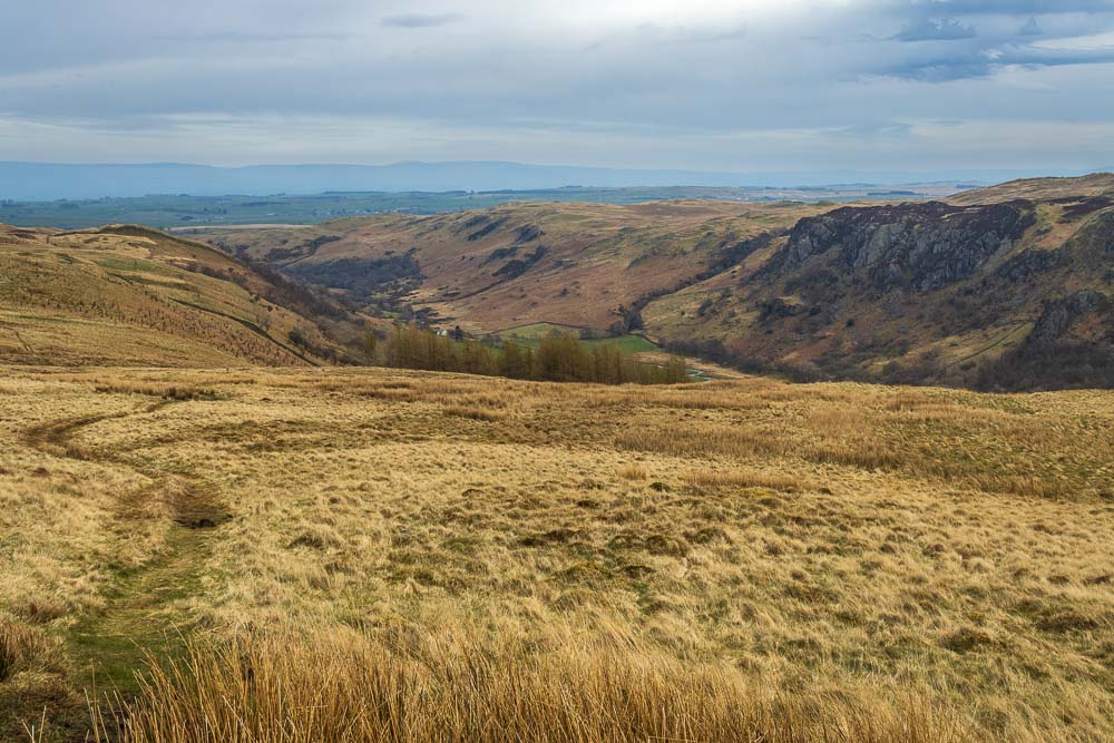 Swindale